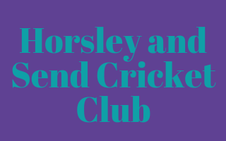 Horsley and Send Cricket Club