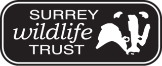 Surrey Wildlife Trust
