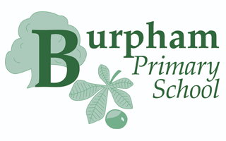 Burpham Primary School PSA